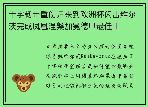 十字韧带重伤归来到欧洲杯闪击维尔茨完成凤凰涅槃加冕德甲最佳王